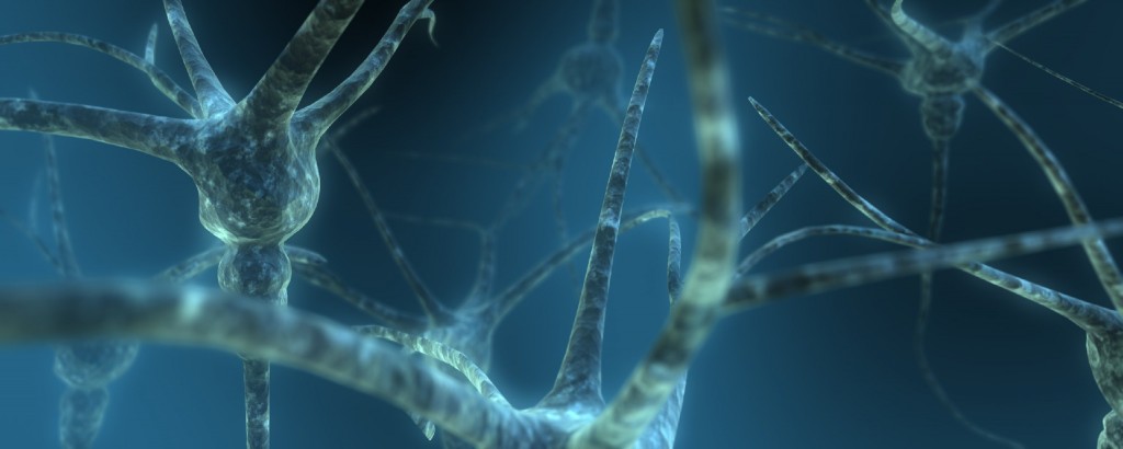 neurostrada