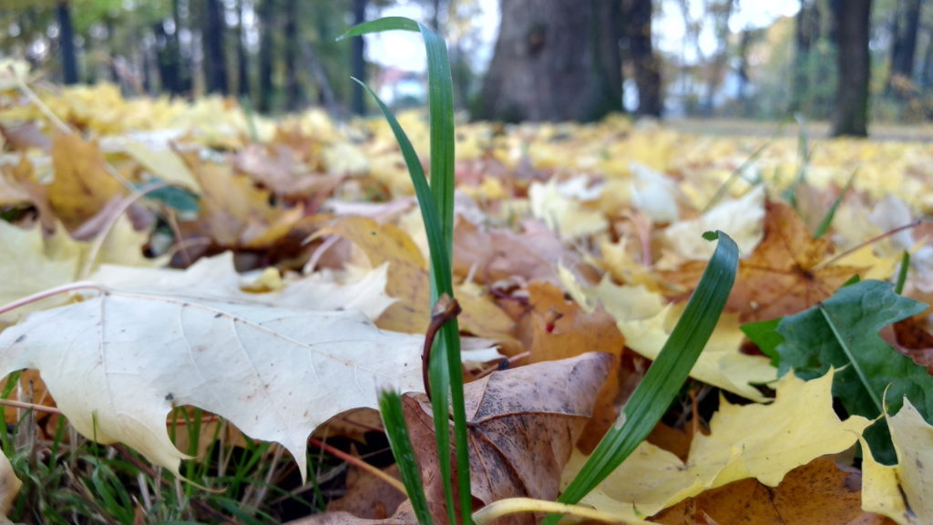 img_20161027_170356566_hdr