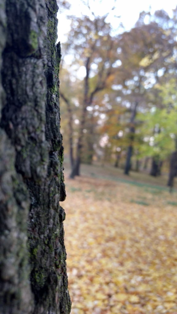 img_20161027_170408714_hdr